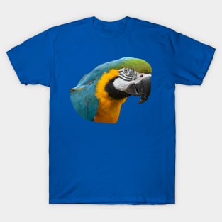 Blue and Gold Macaw Parrot T-Shirt